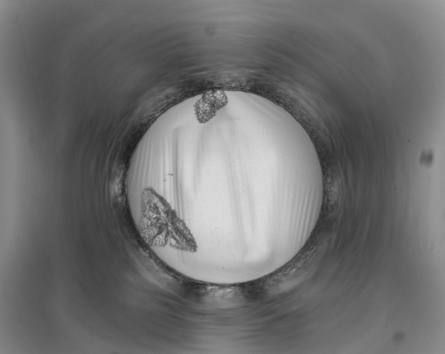 X0000096720185200802261703