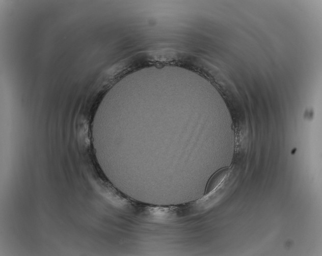 X0000096720187200802261703