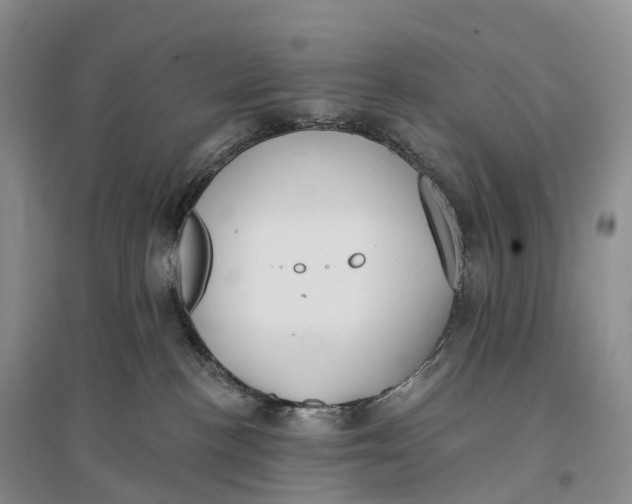 X0000096720188200802261703