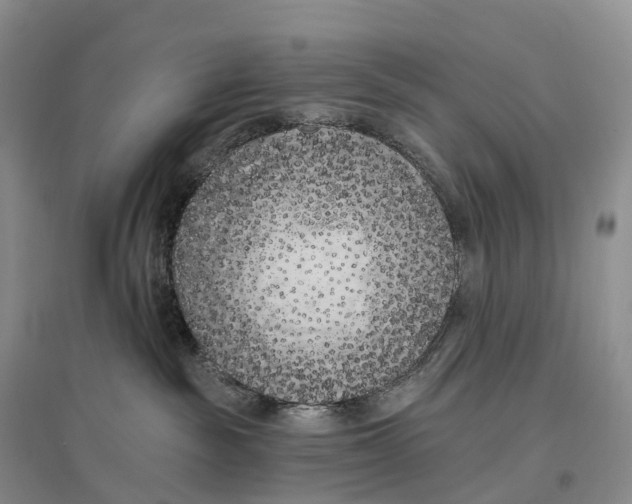 X0000096720189200802261703