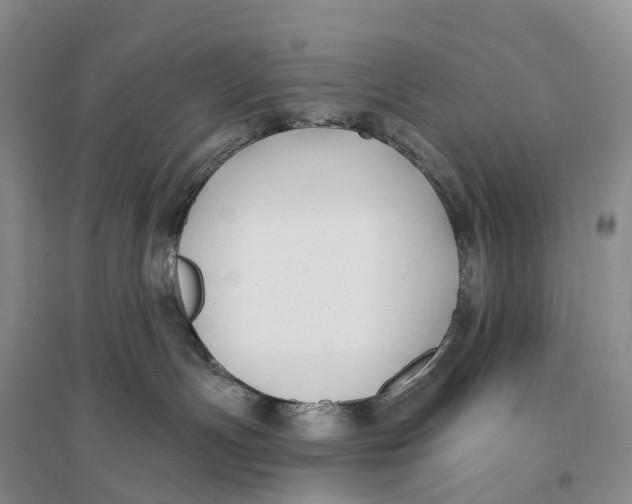 X0000096720191200802261703