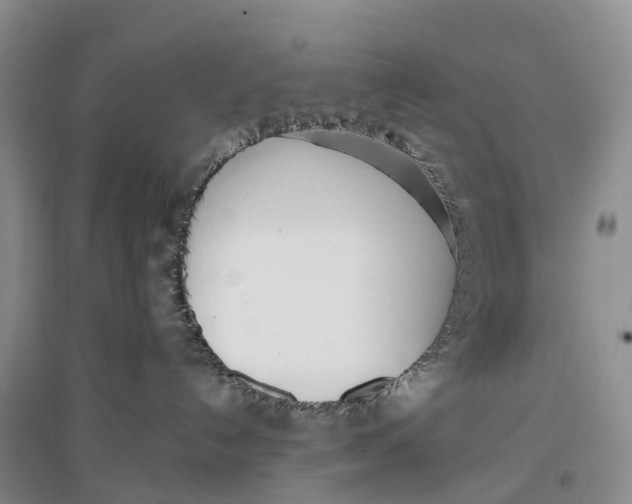 X0000096720192200802261703