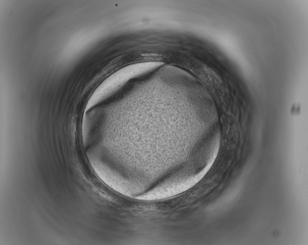 X0000096720194200802261702