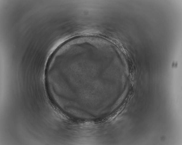 X0000096720196200802261702