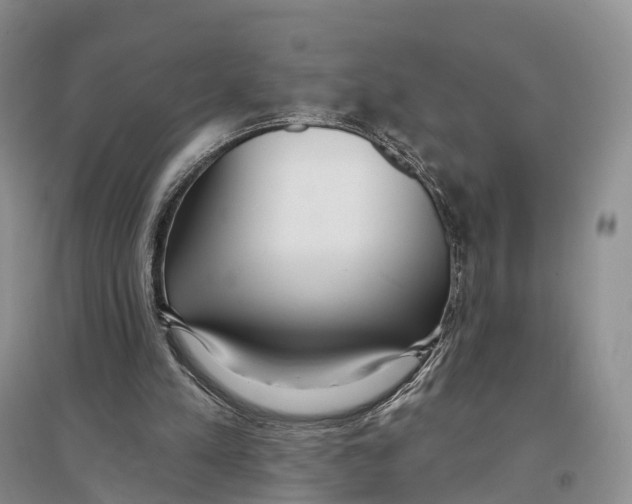 X0000096720197200802261702