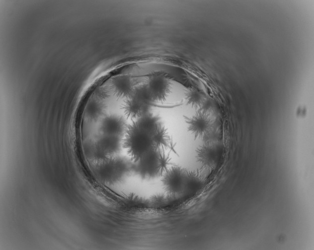 X0000096720198200802261702