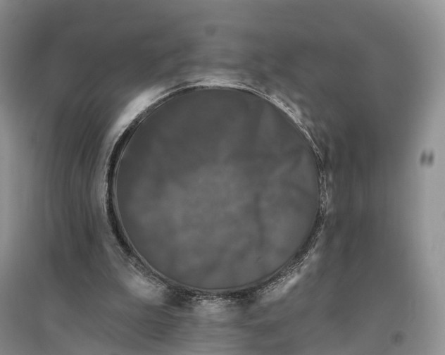 X0000096720199200802261702