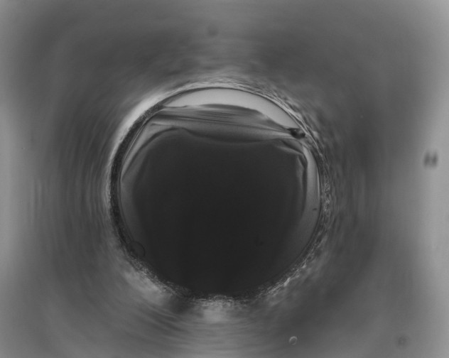 X0000096720200200802261702