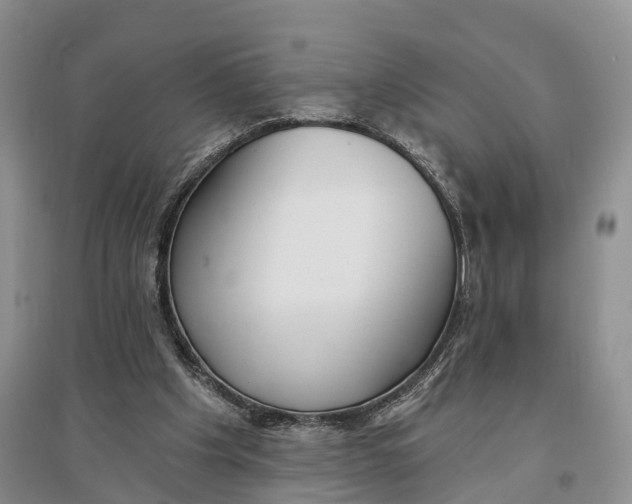 X0000096720201200802261702