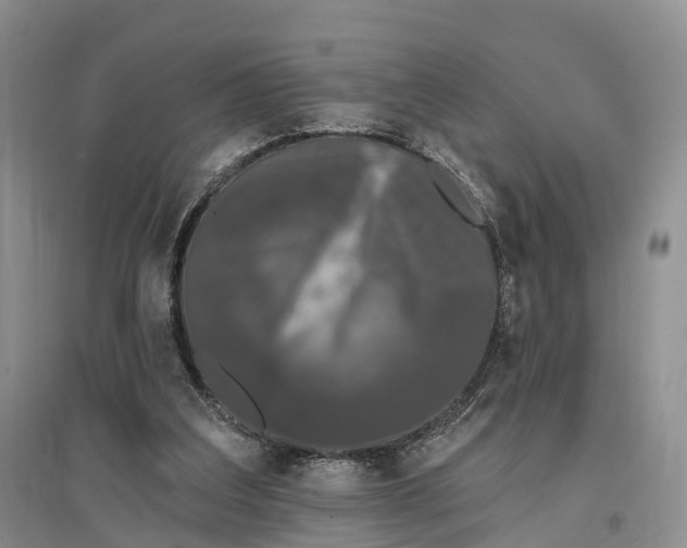 X0000096720203200802261702