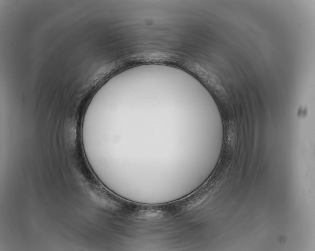 X0000096720206200802261702