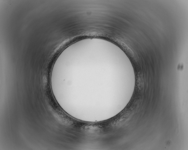 X0000096720208200802261702