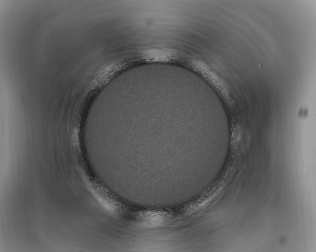 X0000096720209200802261702