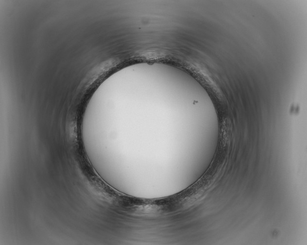 X0000096720212200802261702