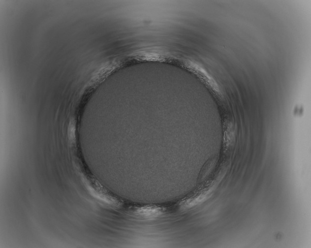 X0000096720213200802261702