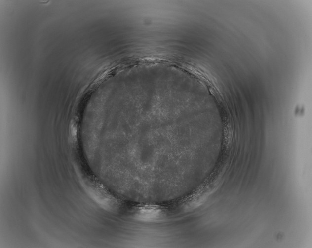 X0000096720214200802261702