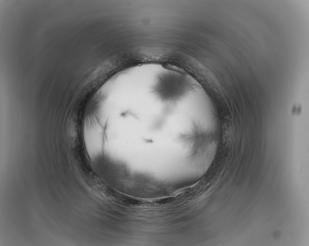 X0000096720215200802261702