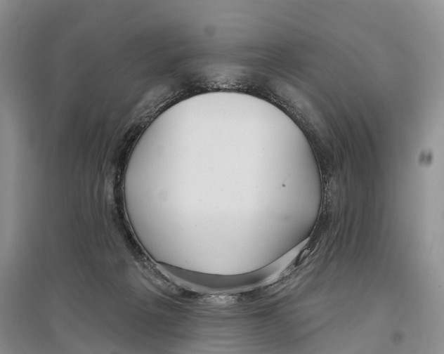 X0000096720217200802261702