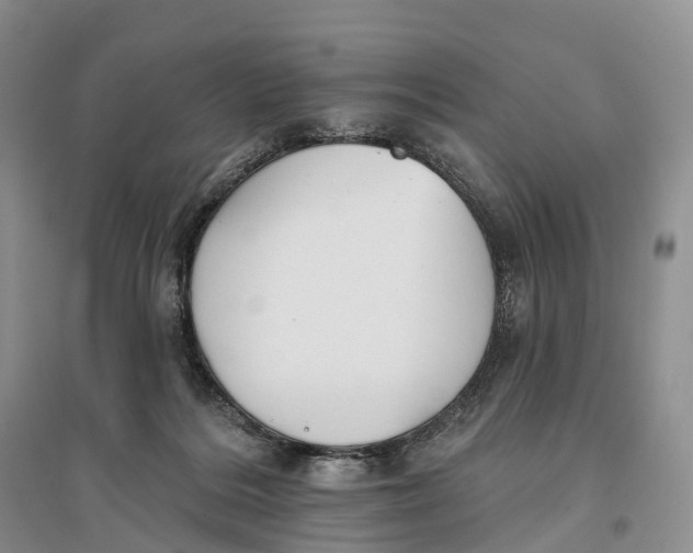 X0000096720220200802261702