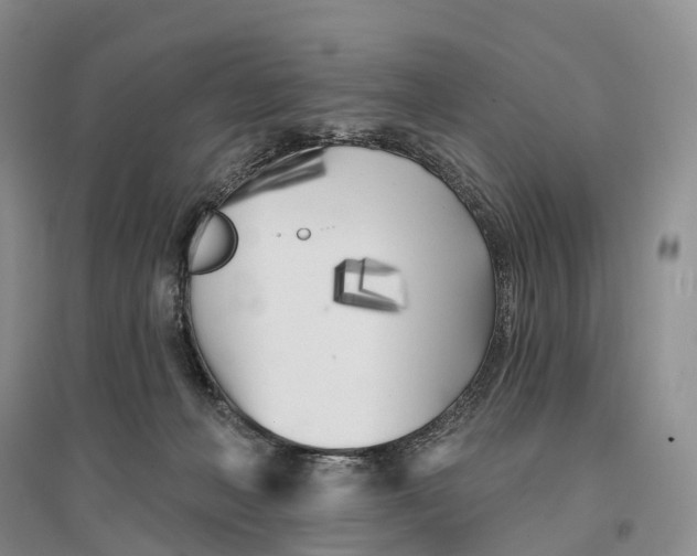 X0000096720222200802261702