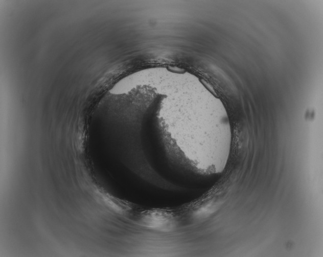 X0000096720223200802261702