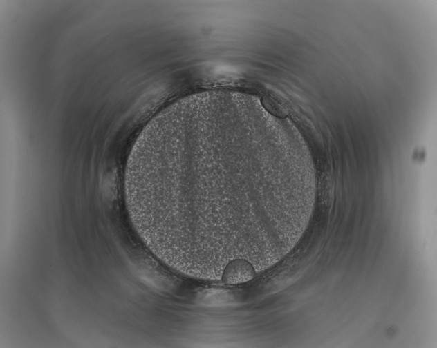 X0000096720224200802261702