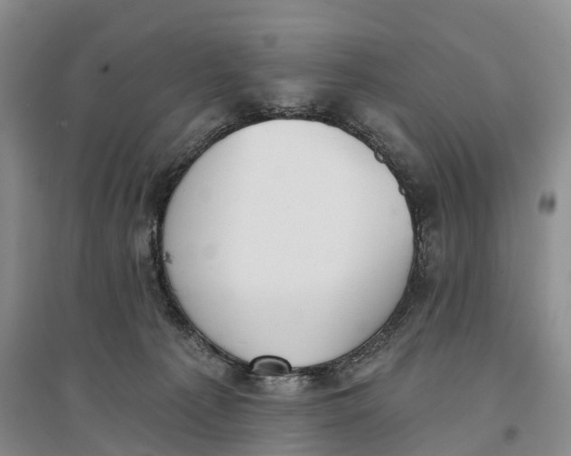 X0000096720225200802261702