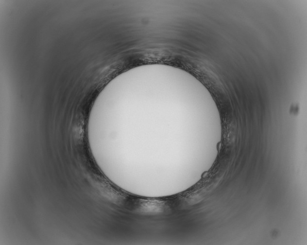 X0000096720226200802261702