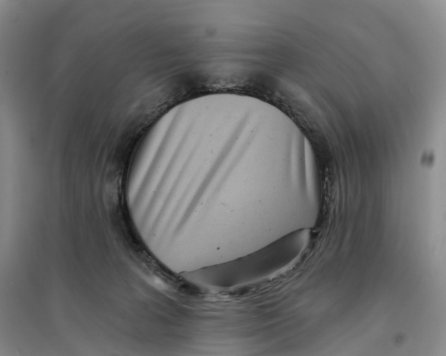 X0000096720227200802261702