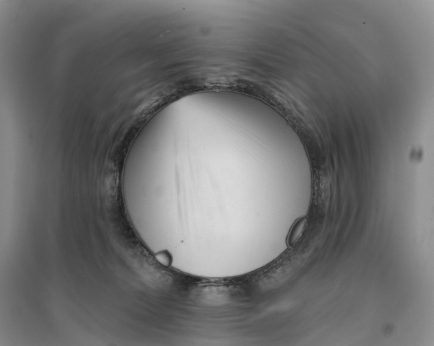 X0000096720228200802261702