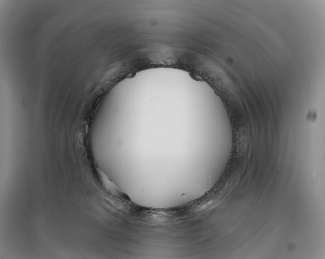 X0000096720229200802261702