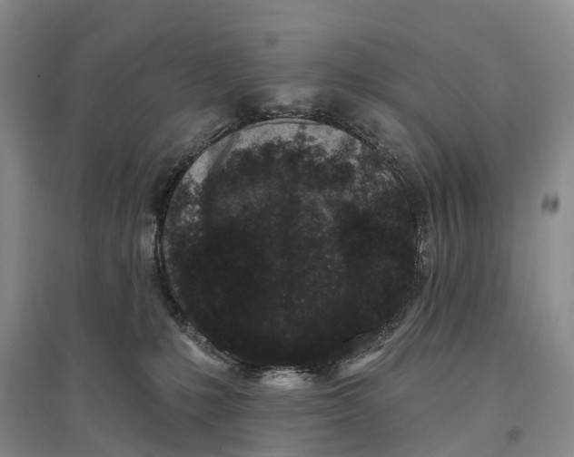 X0000096720231200802261702