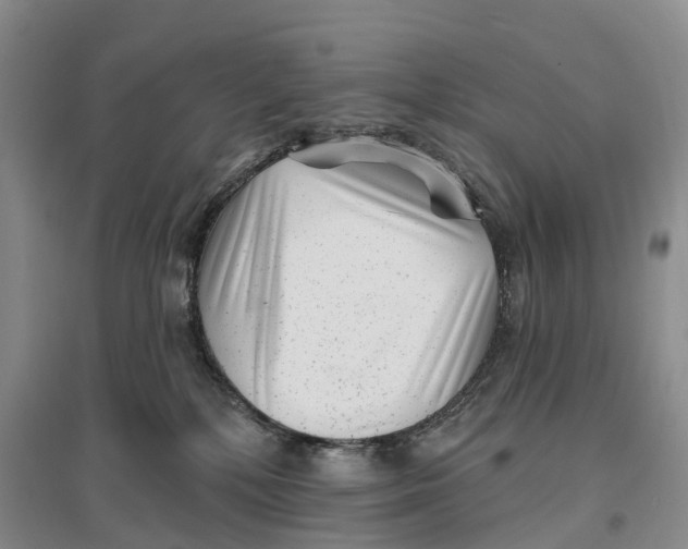 X0000096720232200802261702