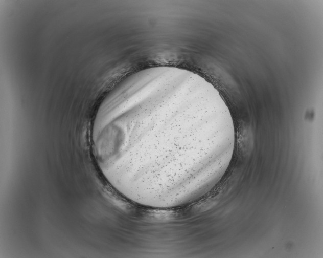 X0000096720233200802261702