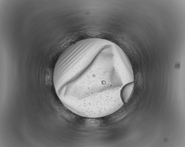 X0000096720234200802261702