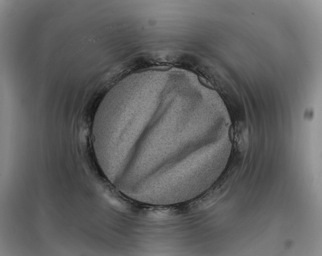 X0000096720235200802261702