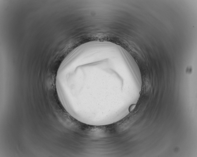 X0000096720236200802261702