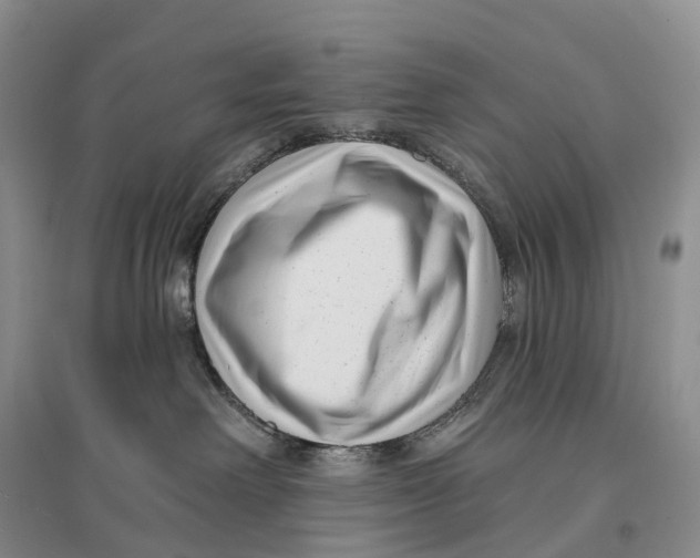 X0000096720238200802261702