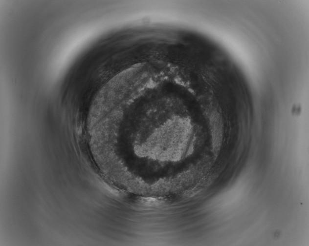 X0000096720239200802261702