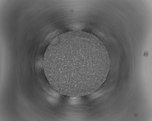 X0000096720240200802261702