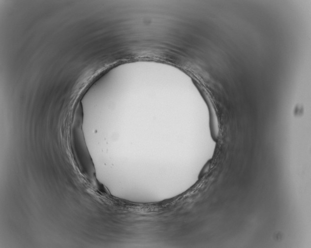 X0000096720241200802261701