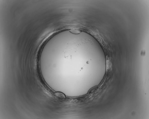 X0000096720243200802261701