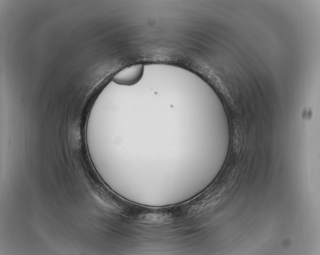 X0000096720251200802261701