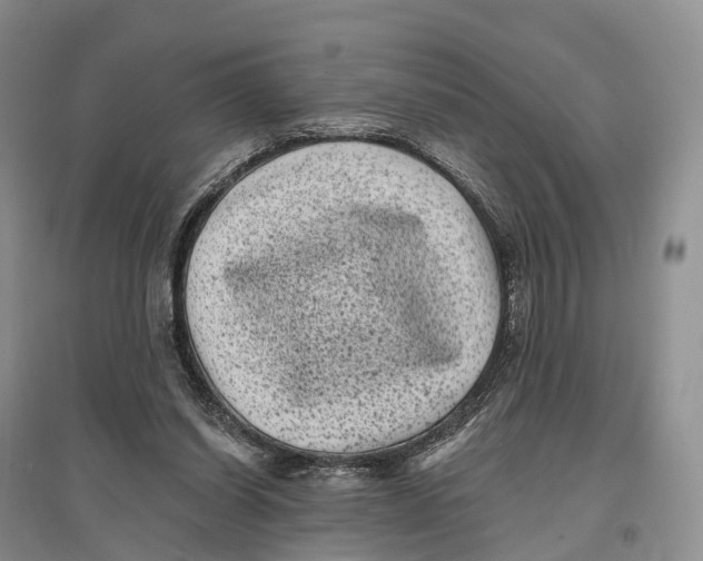 X0000096720254200802261701