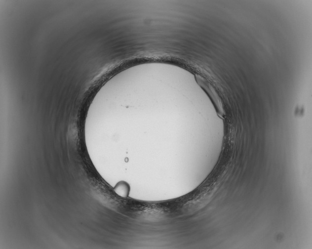 X0000096720256200802261701