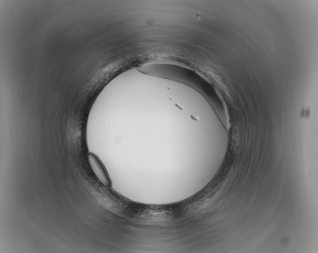 X0000096720260200802261701