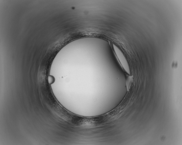 X0000096720263200802261701