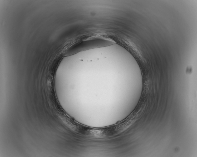 X0000096720265200802261701