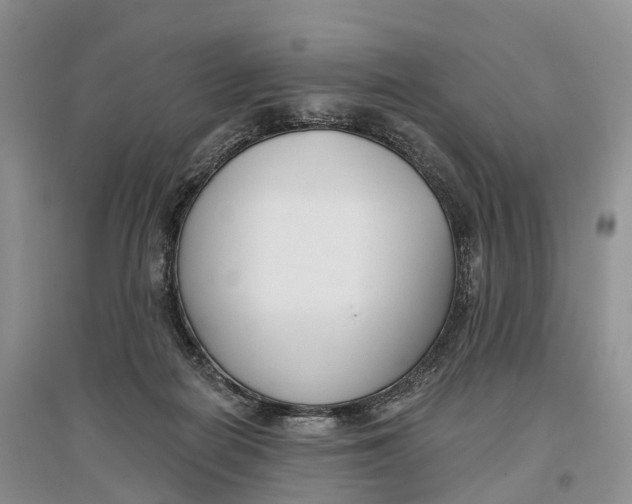 X0000096720266200802261701