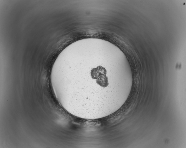 X0000096720270200802261701